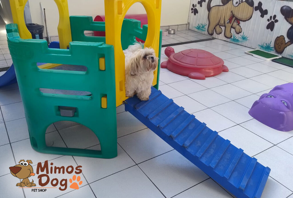 Pet Shop Mimos Dog Bairro Alto Curitiba – Pr (29)