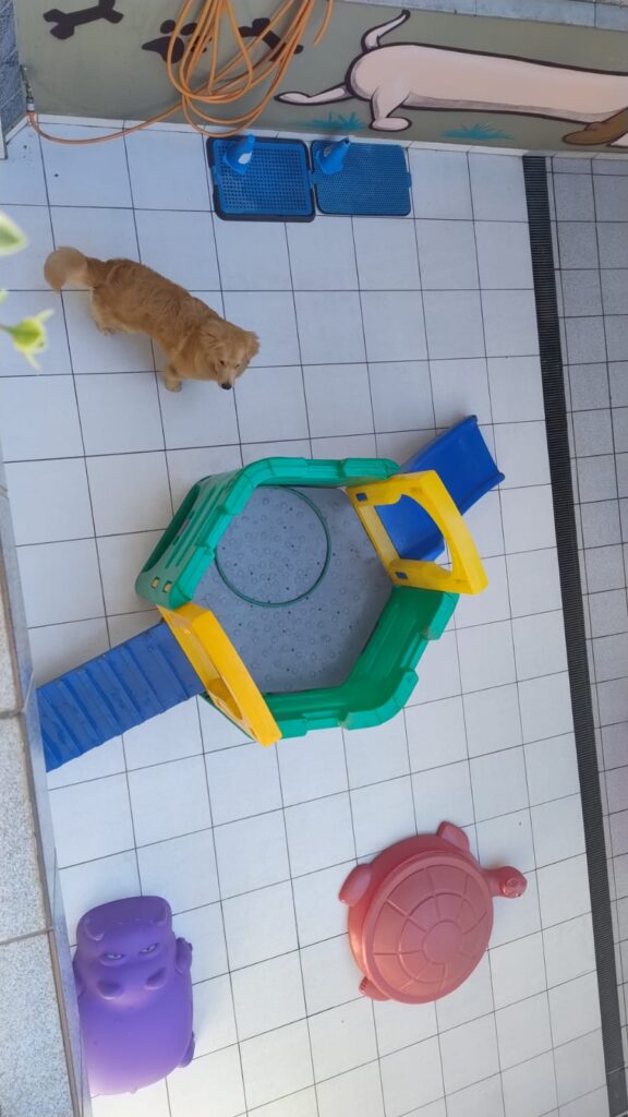 Mimos Dog Pet Shop Bairro Alto – Curitiba