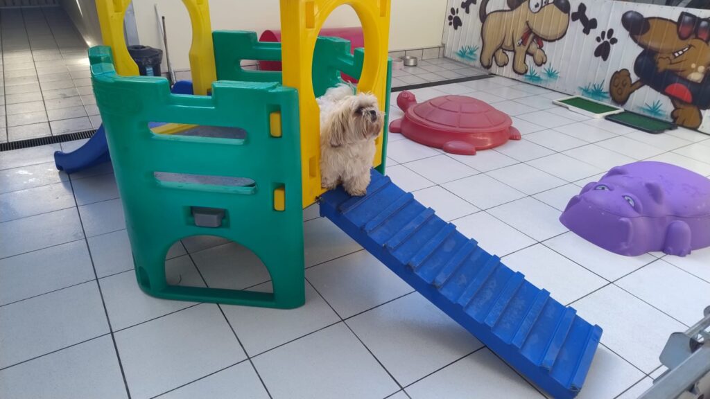 Mimos Dog Pet Shop Bairro Alto – Curitiba