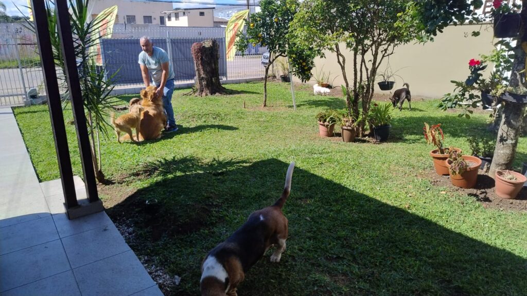 Mimos Dog Pet Shop Bairro Alto – Curitiba
