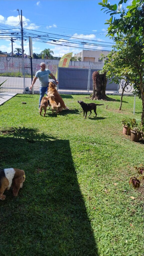 Mimos Dog Pet Shop Bairro Alto – Curitiba