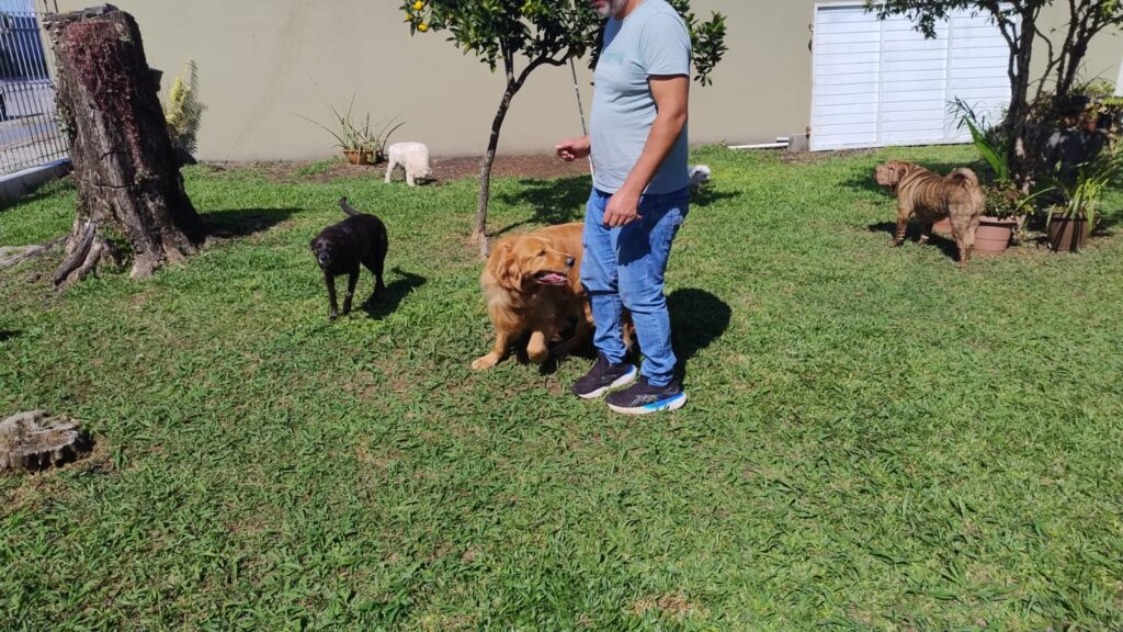 Mimos Dog Pet Shop Bairro Alto – Curitiba