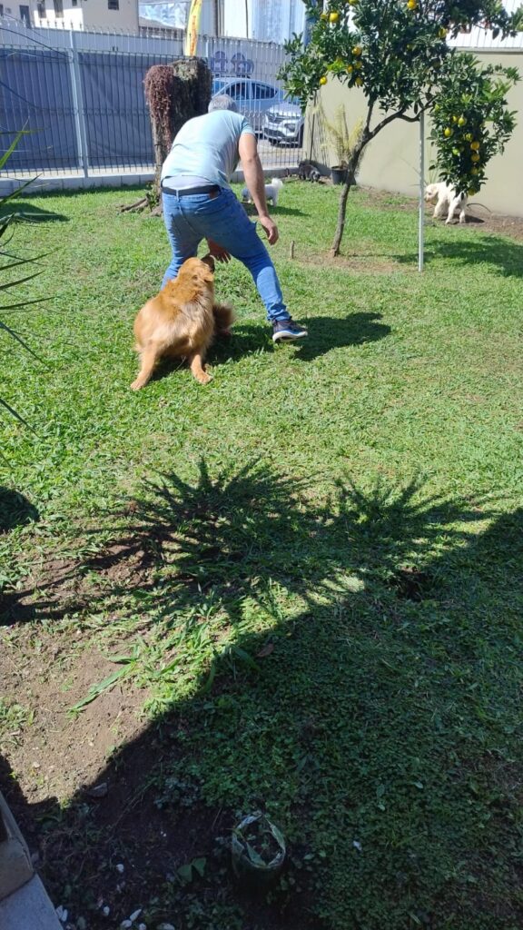 Mimos Dog Pet Shop Bairro Alto – Curitiba