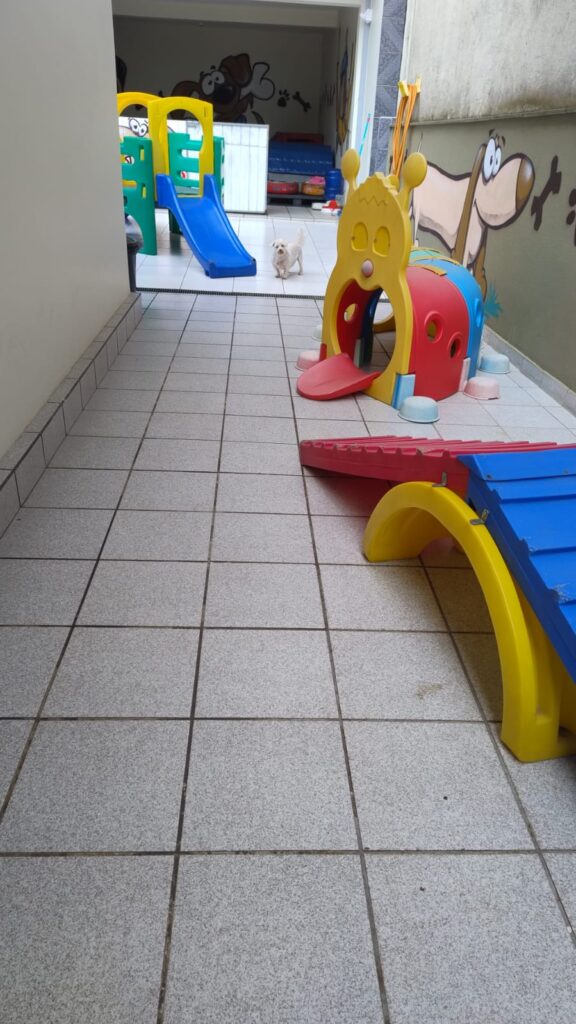 Mimos Dog Pet Shop Bairro Alto – Curitiba